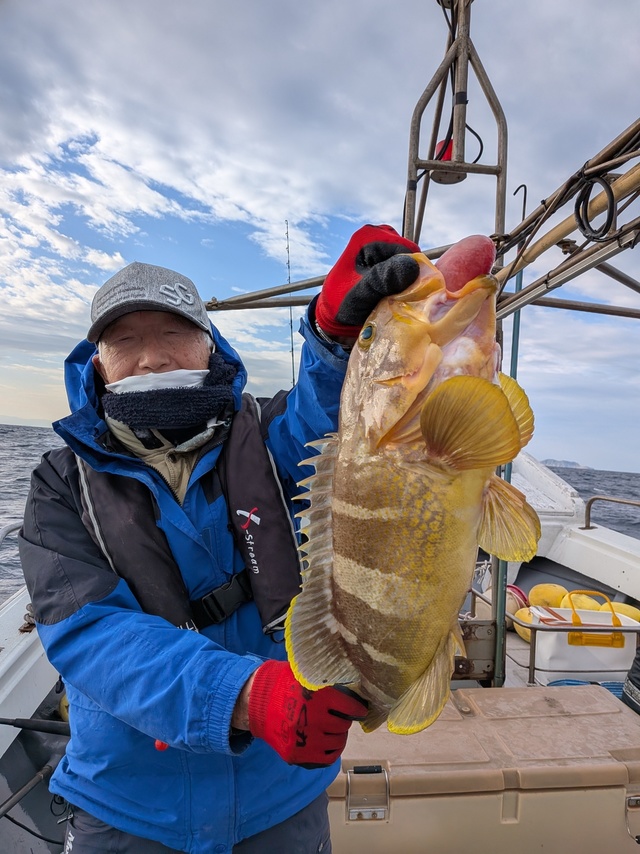 アオナ(アオハタ)