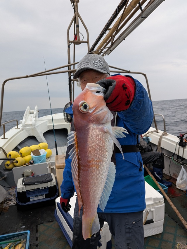 アマダイ(アカアマダイ)