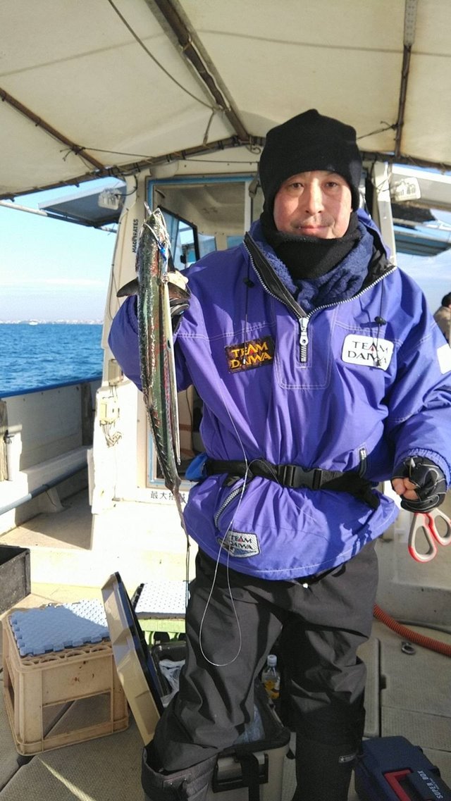 サゴシ(サワラ)