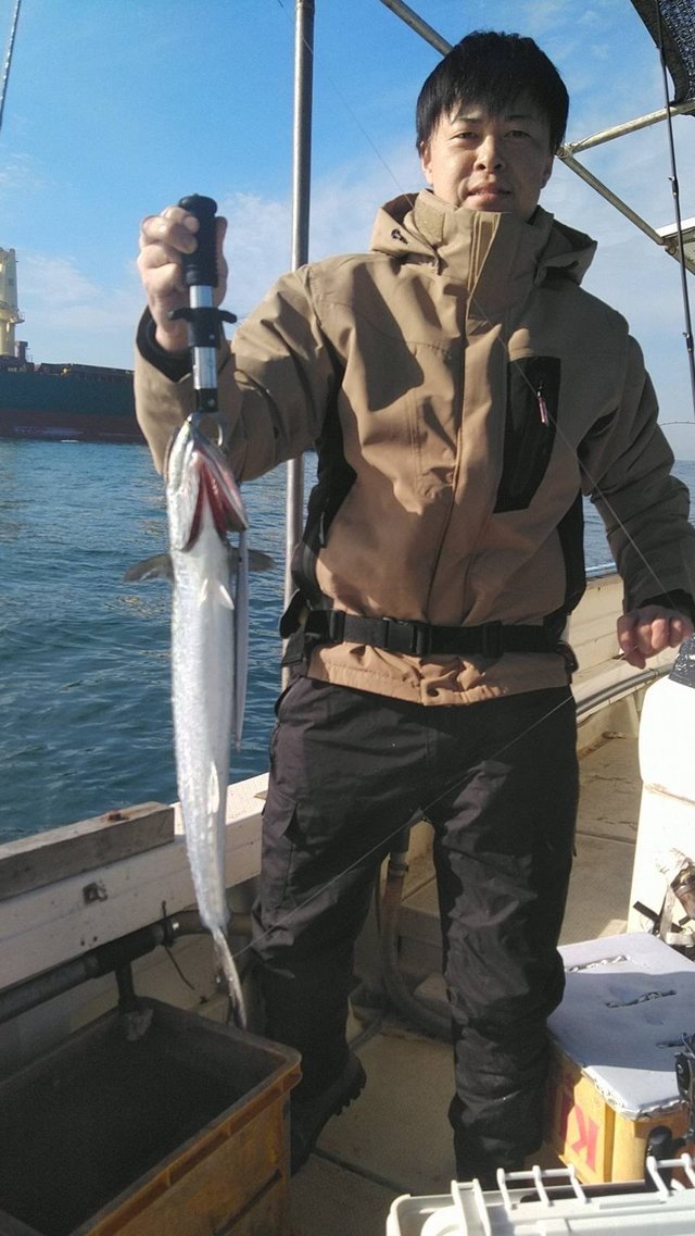 サゴシ(サワラ)