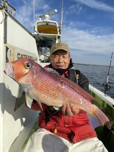 アマダイ(アカアマダイ)