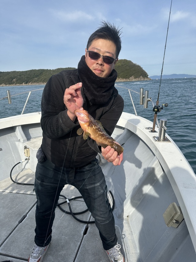 アコウ(キジハタ)