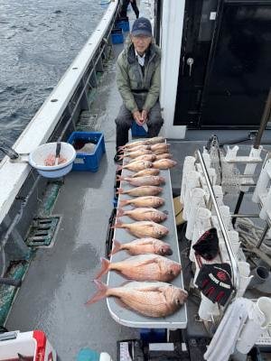 マダイ・コダイ(マダイ)・チダイ・イサキ