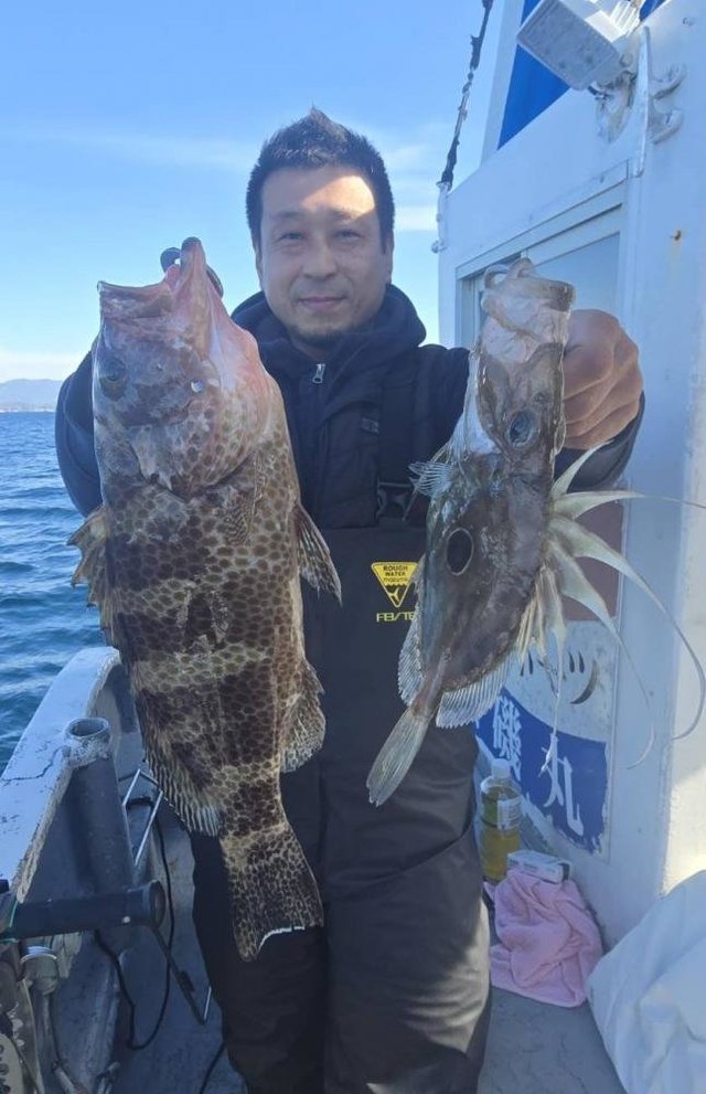 オオモンハタ・マトウダイ