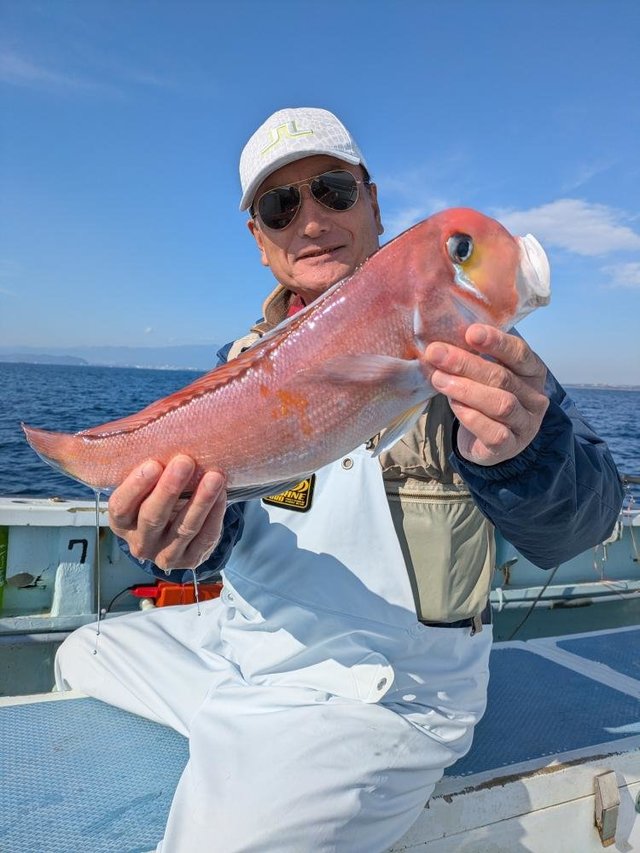 アマダイ(アカアマダイ)