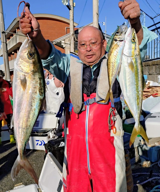 アジ(マアジ)・イナダ(ブリ)・カンパチ