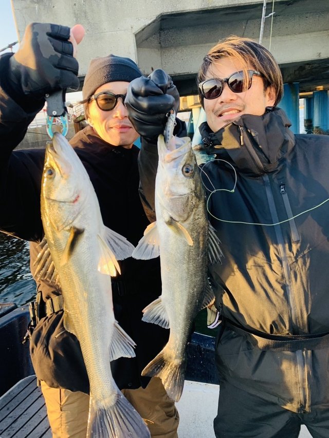 シーバス(スズキ)