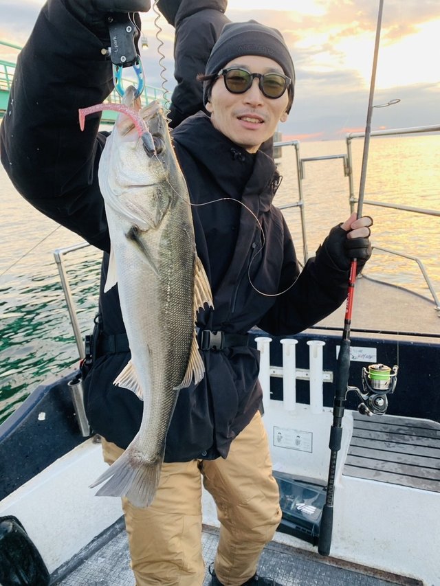 シーバス(スズキ)