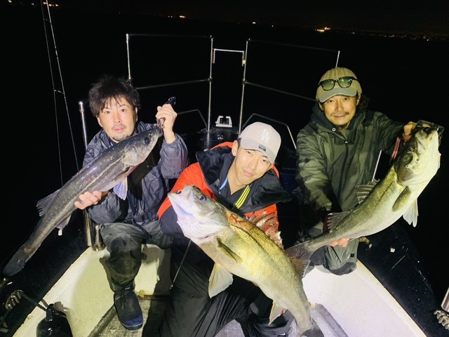 シーバス(スズキ)