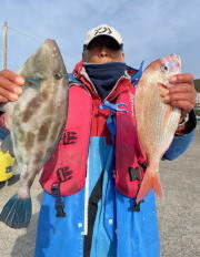 マダイ・ウマヅラハギ