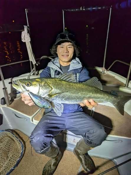 シーバス(スズキ)