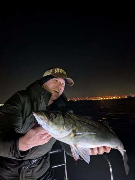 シーバス(スズキ)