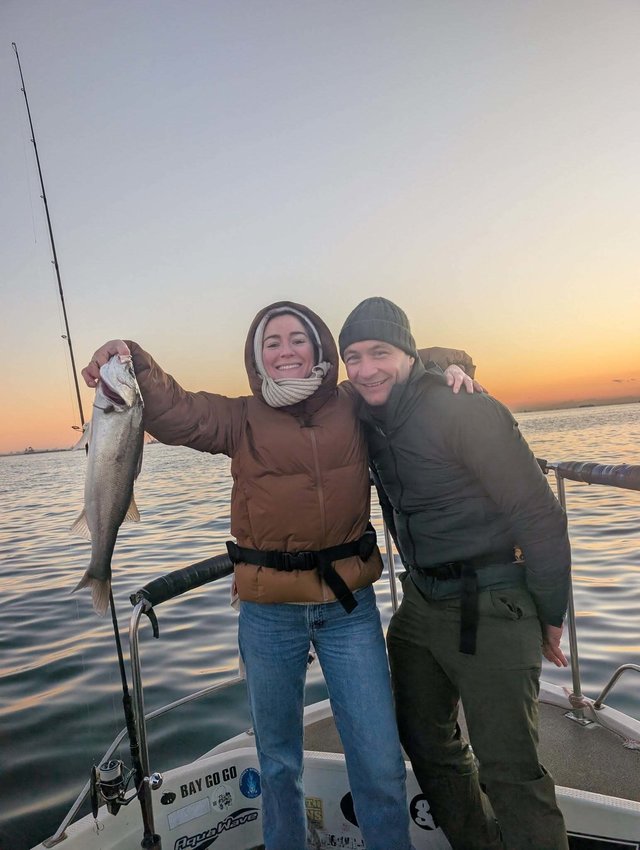 シーバス(スズキ)