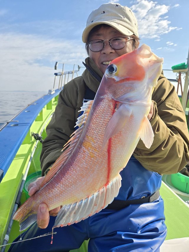 アマダイ(アカアマダイ)