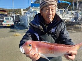 アマダイ(アカアマダイ)