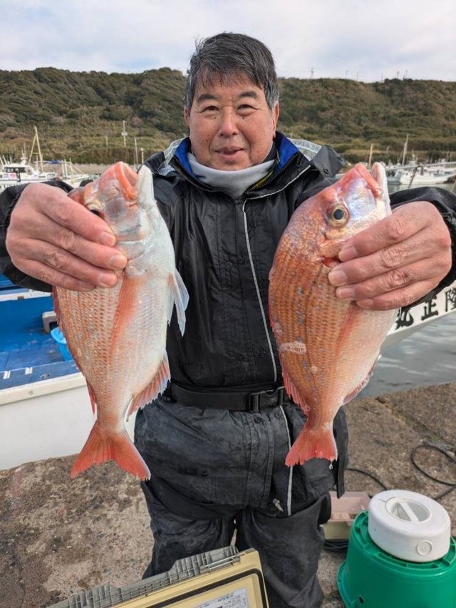 ハナダイ(チダイ)