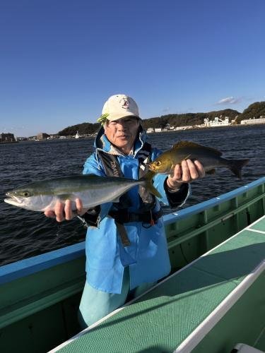 イナダ(ブリ)・イサキ