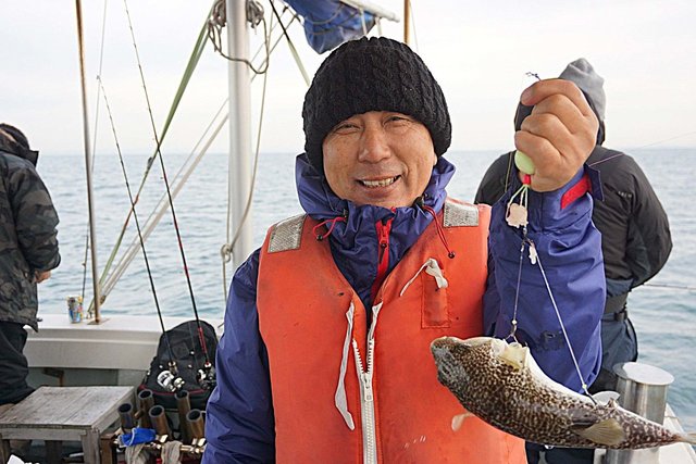 ショウサイフク(ショウサイフグ)