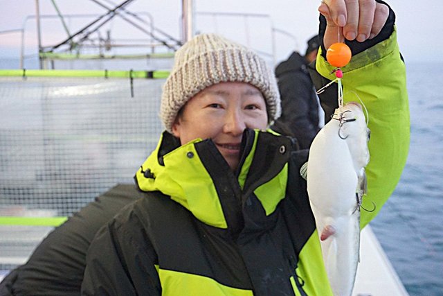 ショウサイフク(ショウサイフグ)