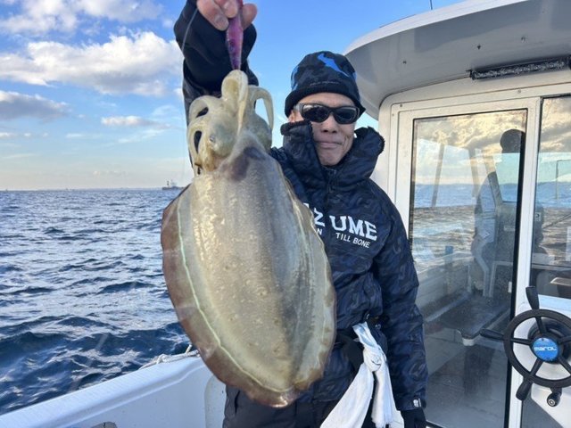 モンゴウイカ(カミナリイカ)