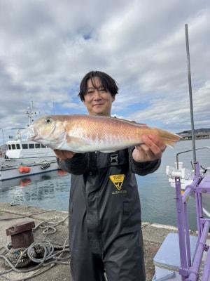 シロアマダイ