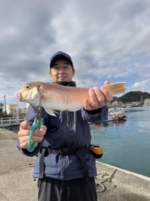 シロアマダイ