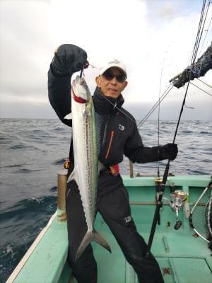 サゴシ(サワラ)