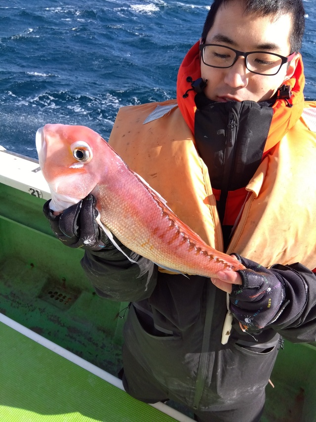 アマダイ(アカアマダイ)