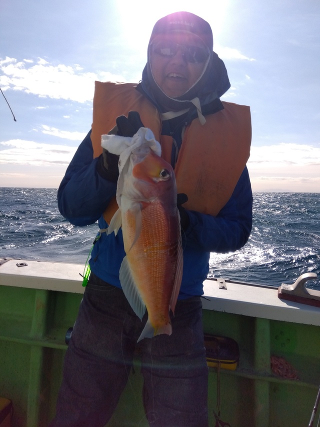 アマダイ(アカアマダイ)