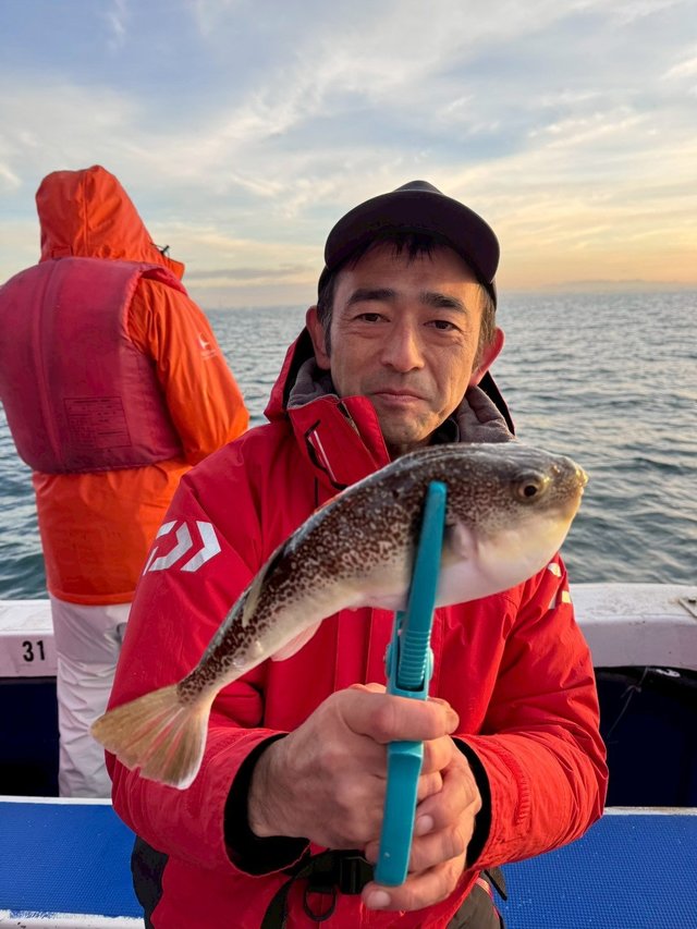 ショウサイフグ