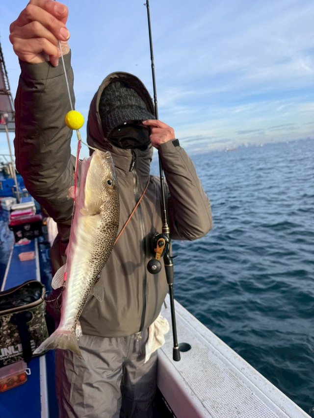 ショウサイフグ