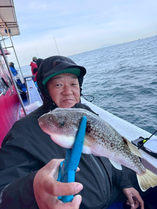 ショウサイフグ