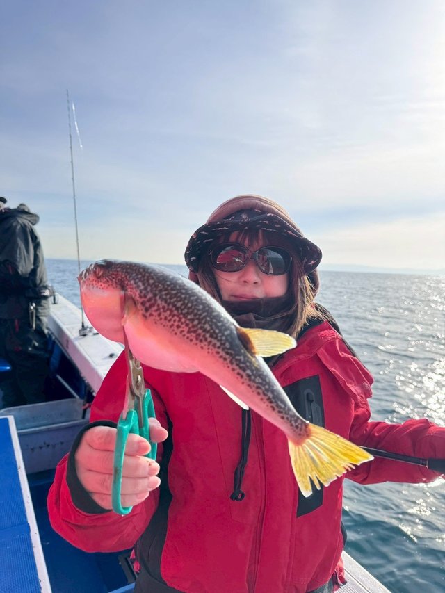 ショウサイフグ