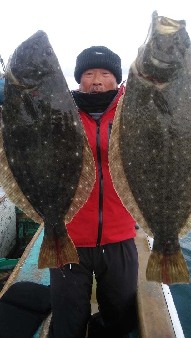 ヒラス(ヒラマサ)