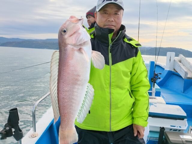 アマダイ(アカアマダイ)