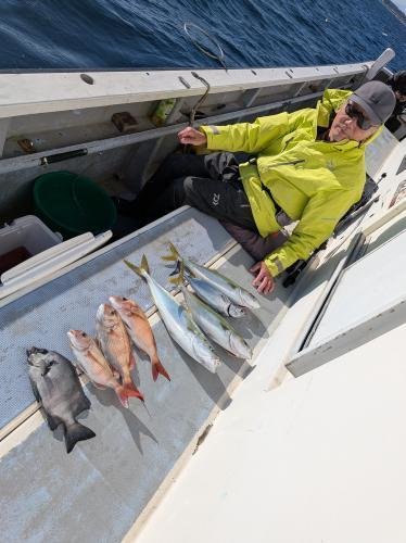 マダイ・イシダイ・イナダ(ブリ)