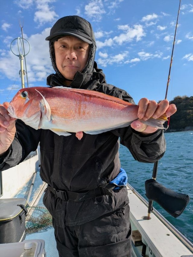 アマダイ(アカアマダイ)