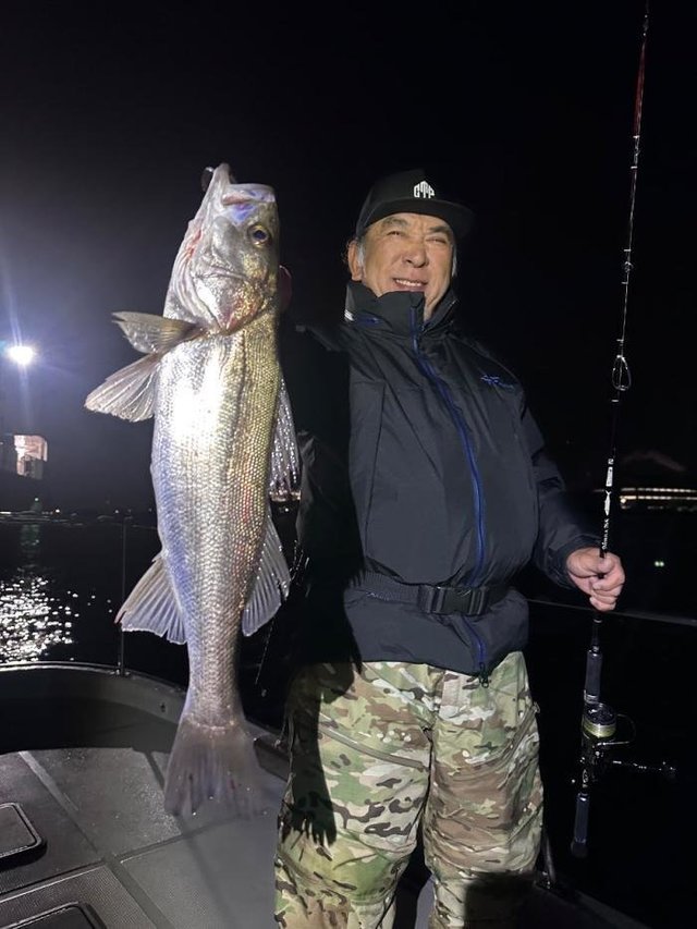 シーバス(スズキ)