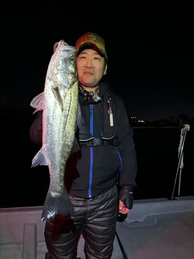 シーバス(スズキ)