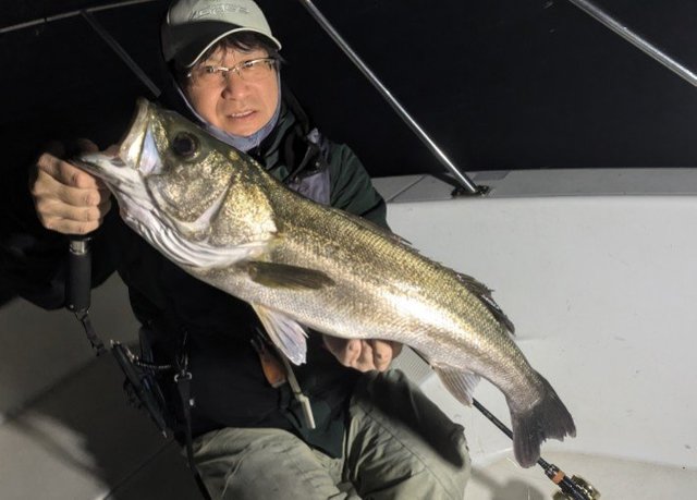 シーバス(スズキ)