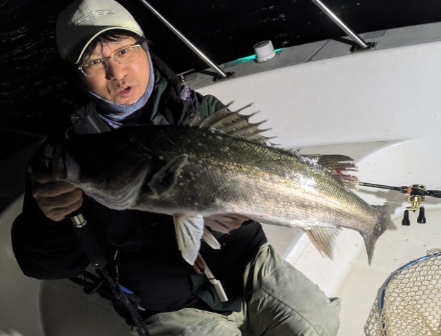 シーバス(スズキ)