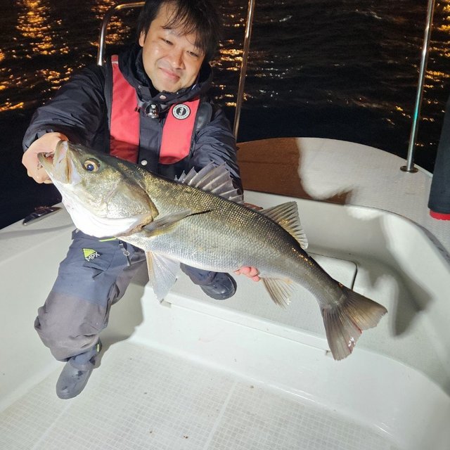 シーバス(スズキ)