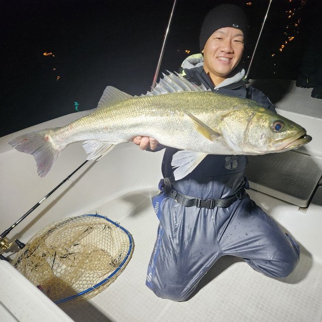 シーバス(スズキ)