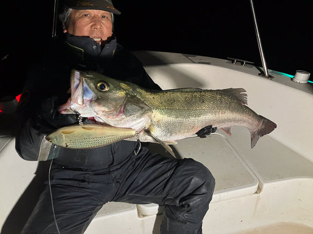 シーバス(スズキ)