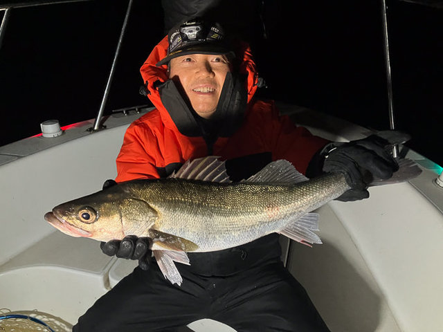 シーバス(スズキ)