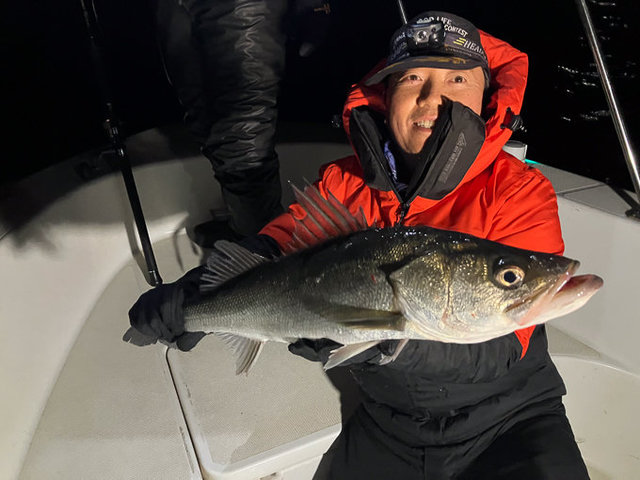 シーバス(スズキ)