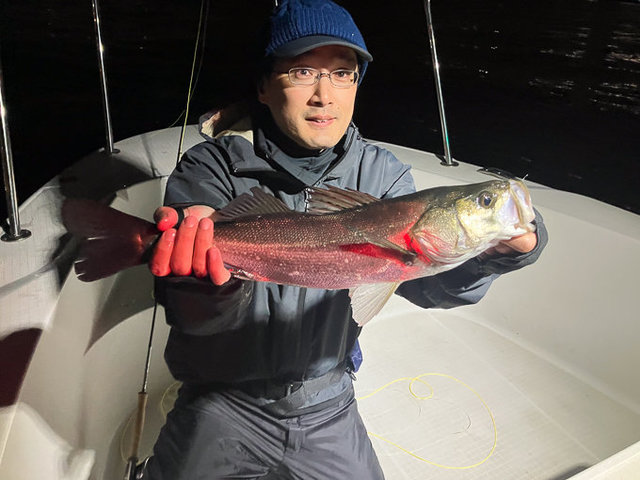 シーバス(スズキ)