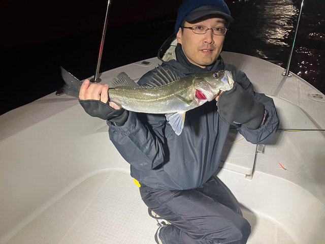 シーバス(スズキ)