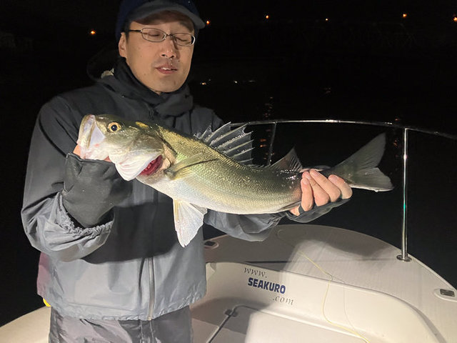 シーバス(スズキ)