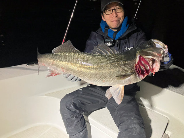 シーバス(スズキ)